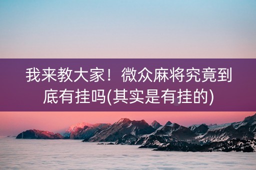 我来教大家！微众麻将究竟到底有挂吗(其实是有挂的)