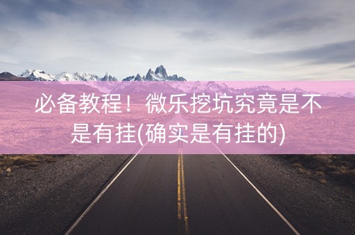 必备教程！微乐挖坑究竟是不是有挂(确实是有挂的)