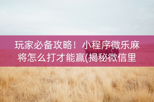 玩家必备攻略！小程序微乐麻将怎么打才能赢(揭秘微信里赢的秘诀)