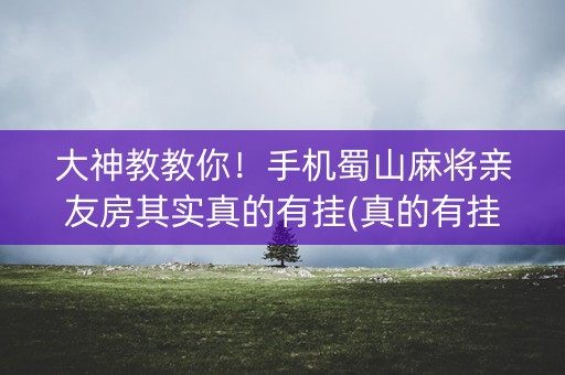 大神教教你！手机蜀山麻将亲友房其实真的有挂(真的有挂确实有挂)