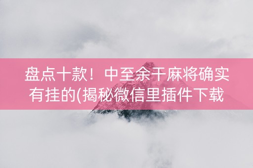 盘点十款！中至余干麻将确实有挂的(揭秘微信里插件下载)