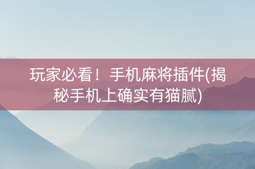 玩家必看！手机麻将插件(揭秘手机上确实有猫腻)