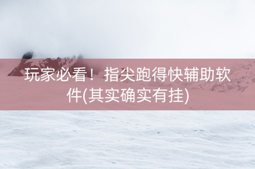 玩家必看！指尖跑得快辅助软件(其实确实有挂)
