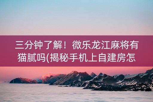 三分钟了解！微乐龙江麻将有猫腻吗(揭秘手机上自建房怎么赢)