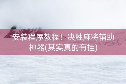 安装程序教程！决胜麻将辅助神器(其实真的有挂)