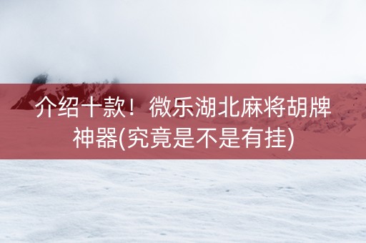 介绍十款！微乐湖北麻将胡牌神器(究竟是不是有挂)
