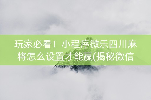 玩家必看！小程序微乐四川麻将怎么设置才能赢(揭秘微信里专用神器下载)