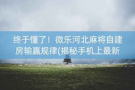 终于懂了！微乐河北麻将自建房输赢规律(揭秘手机上最新神器下载)