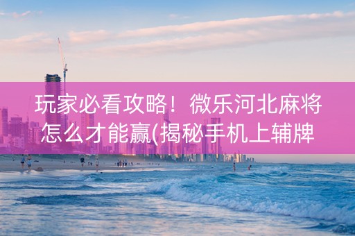玩家必看攻略！微乐河北麻将怎么才能赢(揭秘手机上辅牌器)