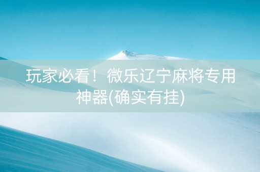 玩家必看！微乐辽宁麻将专用神器(确实有挂)
