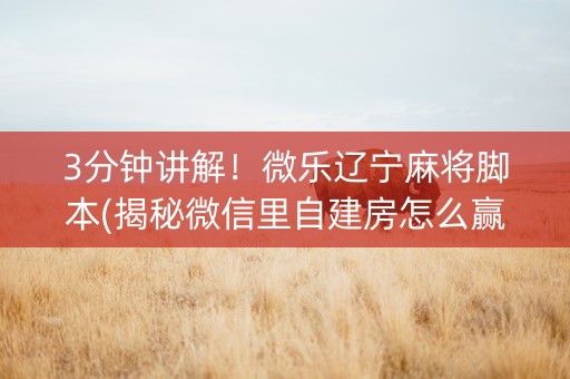 3分钟讲解！微乐辽宁麻将脚本(揭秘微信里自建房怎么赢)