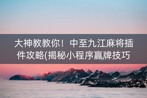 大神教教你！中至九江麻将插件攻略(揭秘小程序赢牌技巧)