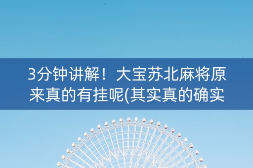 3分钟讲解！大宝苏北麻将原来真的有挂呢(其实真的确实有挂)