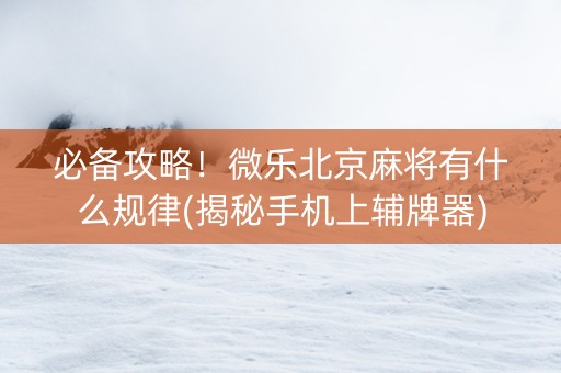 必备攻略！微乐北京麻将有什么规律(揭秘手机上辅牌器)
