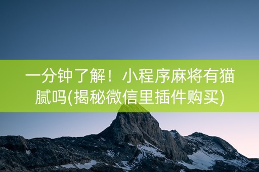 一分钟了解！小程序麻将有猫腻吗(揭秘微信里插件购买)
