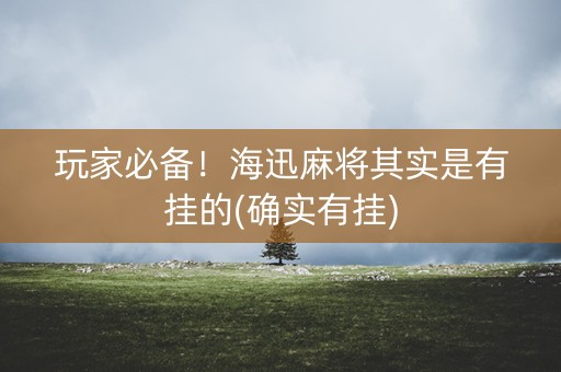 玩家必备！海迅麻将其实是有挂的(确实有挂)