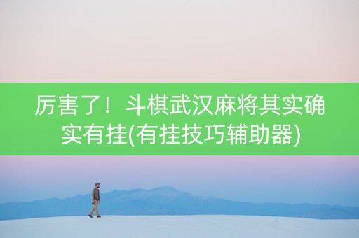 厉害了！斗棋武汉麻将其实确实有挂(有挂技巧辅助器)