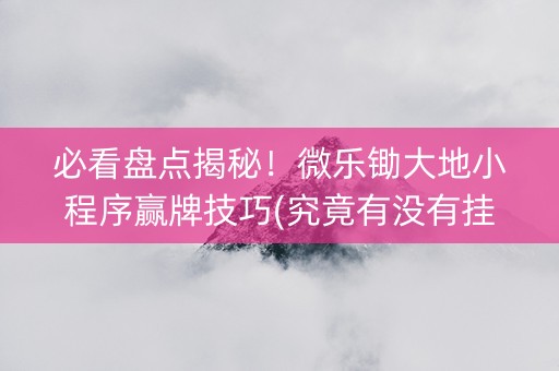 必看盘点揭秘！微乐锄大地小程序赢牌技巧(究竟有没有挂)