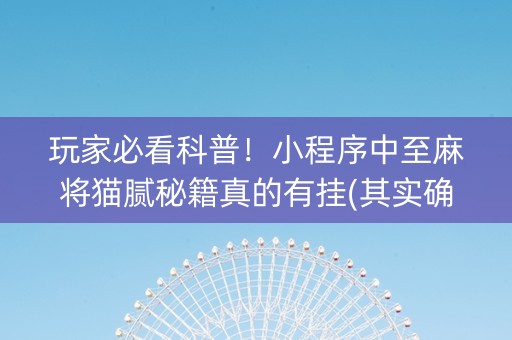 玩家必看科普！小程序中至麻将猫腻秘籍真的有挂(其实确实有挂)