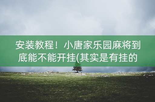 安装教程！小唐家乐园麻将到底能不能开挂(其实是有挂的)