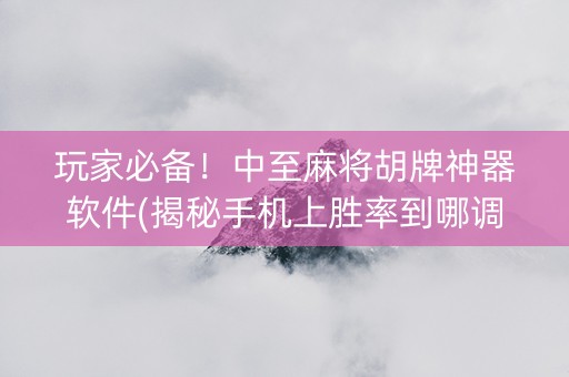 玩家必备！中至麻将胡牌神器软件(揭秘手机上胜率到哪调)