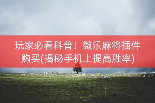 玩家必看科普！微乐麻将插件购买(揭秘手机上提高胜率)