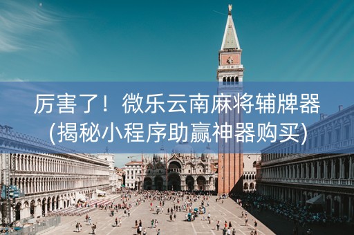 厉害了！微乐云南麻将辅牌器(揭秘小程序助赢神器购买)