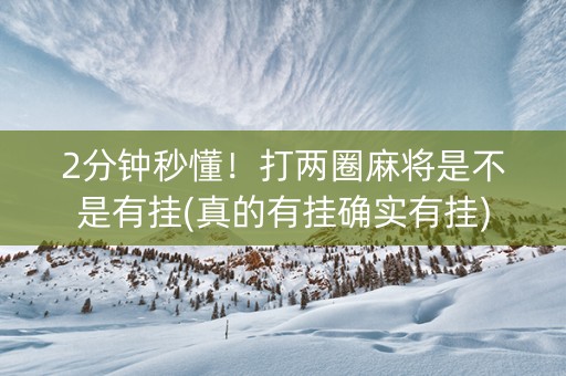 2分钟秒懂！打两圈麻将是不是有挂(真的有挂确实有挂)