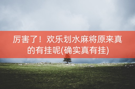 厉害了！欢乐划水麻将原来真的有挂呢(确实真有挂)