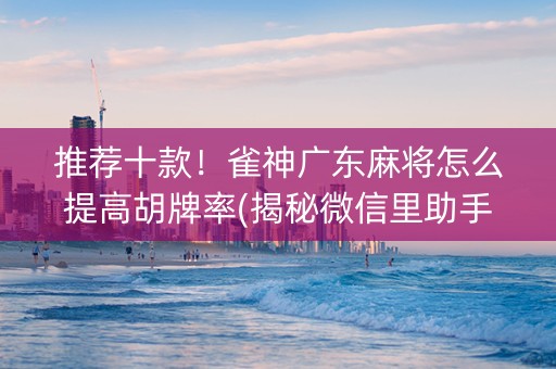 推荐十款！雀神广东麻将怎么提高胡牌率(揭秘微信里助手软件)