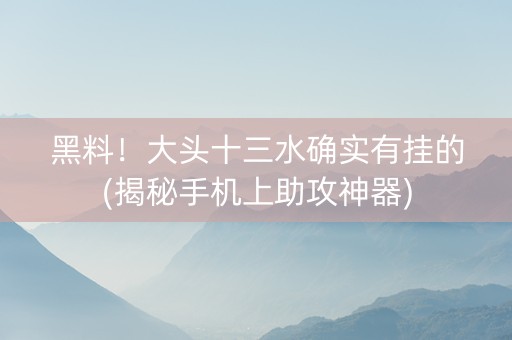 黑料！大头十三水确实有挂的(揭秘手机上助攻神器)