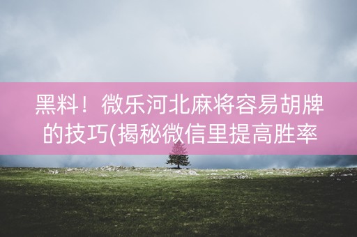 黑料！微乐河北麻将容易胡牌的技巧(揭秘微信里提高胜率)
