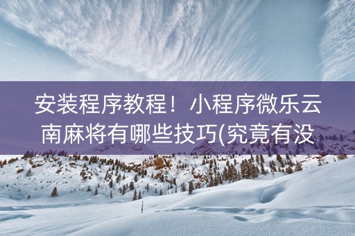 安装程序教程！小程序微乐云南麻将有哪些技巧(究竟有没有挂)