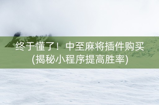 终于懂了！中至麻将插件购买(揭秘小程序提高胜率)