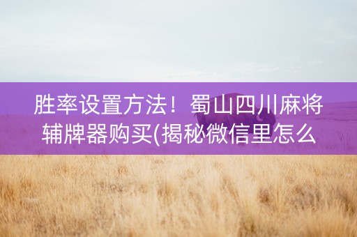 胜率设置方法！蜀山四川麻将辅牌器购买(揭秘微信里怎么容易赢)