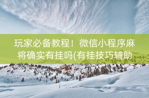 玩家必备教程！微信小程序麻将确实有挂吗(有挂技巧辅助器)
