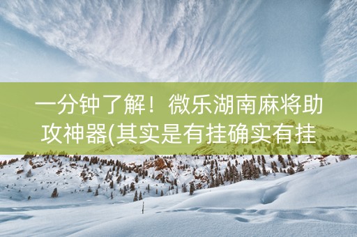 一分钟了解！微乐湖南麻将助攻神器(其实是有挂确实有挂)