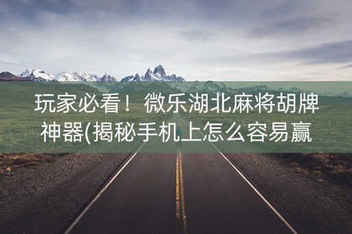 玩家必看！微乐湖北麻将胡牌神器(揭秘手机上怎么容易赢)