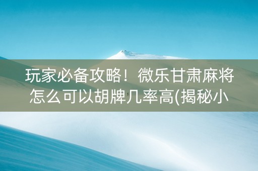 玩家必备攻略！微乐甘肃麻将怎么可以胡牌几率高(揭秘小程序输赢规律)
