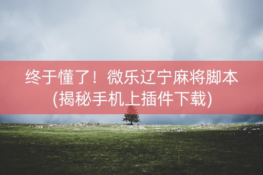 终于懂了！微乐辽宁麻将脚本(揭秘手机上插件下载)