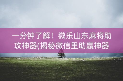 一分钟了解！微乐山东麻将助攻神器(揭秘微信里助赢神器)