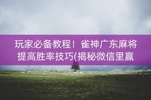 玩家必备教程！雀神广东麻将提高胜率技巧(揭秘微信里赢牌的技巧)