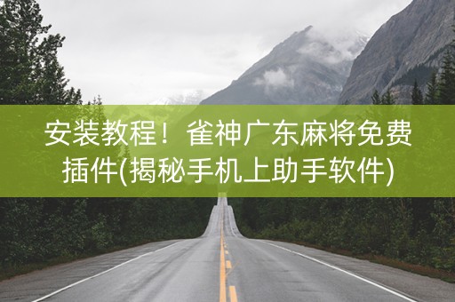 安装教程！雀神广东麻将免费插件(揭秘手机上助手软件)