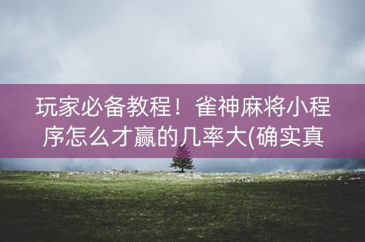 玩家必备教程！雀神麻将小程序怎么才赢的几率大(确实真的有挂)