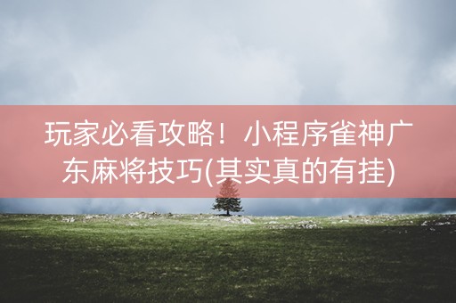 玩家必看攻略！小程序雀神广东麻将技巧(其实真的有挂)