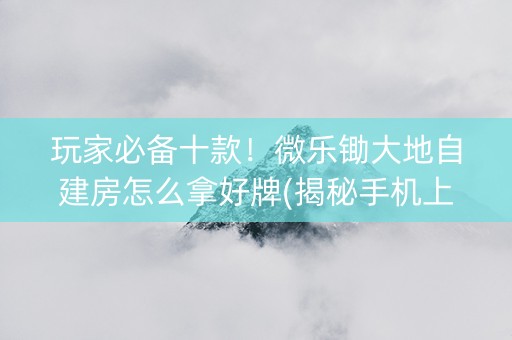 玩家必备十款！微乐锄大地自建房怎么拿好牌(揭秘手机上确实有猫腻)