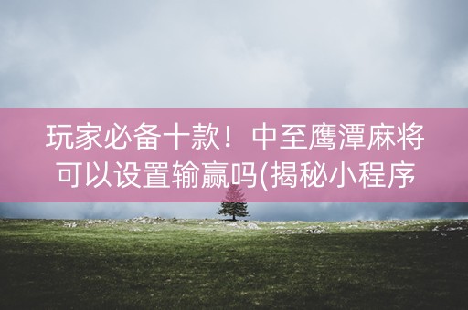 玩家必备十款！中至鹰潭麻将可以设置输赢吗(揭秘小程序输赢规律)