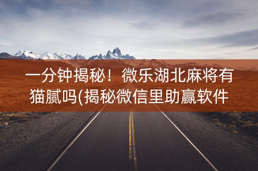 一分钟揭秘！微乐湖北麻将有猫腻吗(揭秘微信里助赢软件)