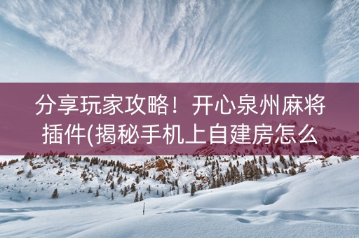 分享玩家攻略！开心泉州麻将插件(揭秘手机上自建房怎么赢)