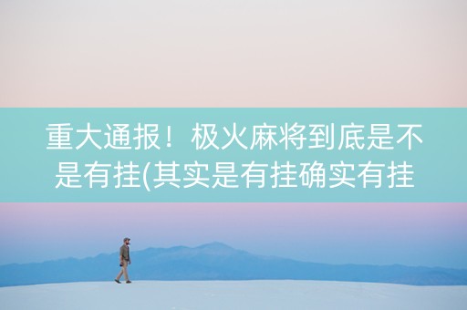 重大通报！极火麻将到底是不是有挂(其实是有挂确实有挂)